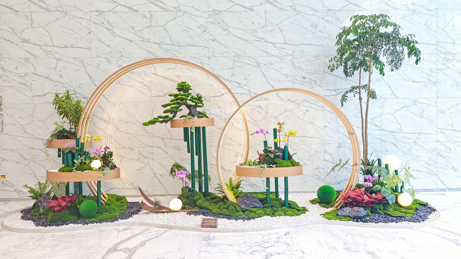 专业镇海植物租赁，让绿植焕发生机